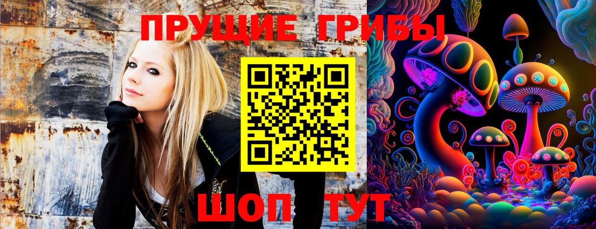 Псилоцибиновые грибы ЛСД  Вход с VPN  Сухой Лог 